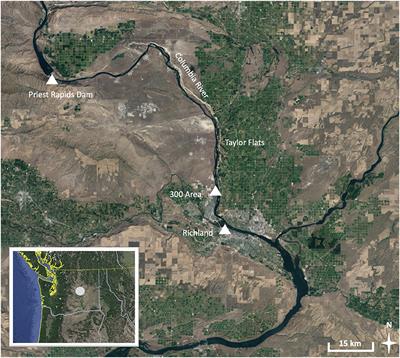 Groundwater Inflows to the Columbia River Along the Hanford Reach and Associated Nitrate Concentrations